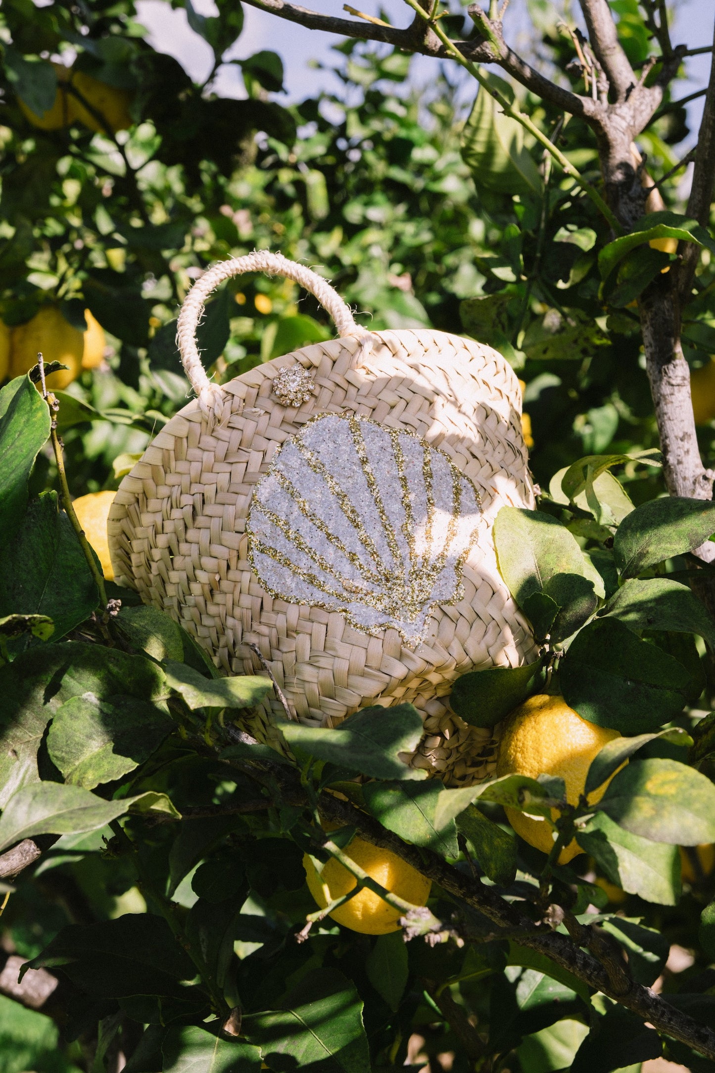 Le Coquillage Blanc